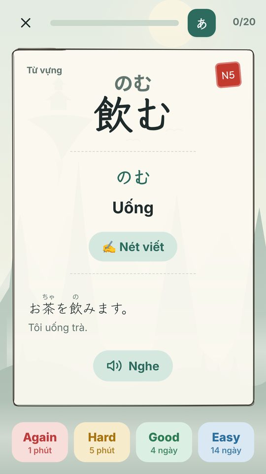 Mặt sau flashcard